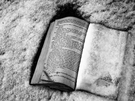 livre_neige_inside.jpg