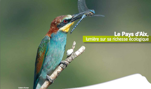 Biodiversité en Pays d'Aix