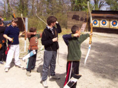 Tir à l'arc : concours 3D