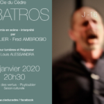 albatros
