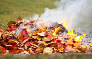 COVID-19 : interdiction de brûlage des déchets verts