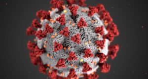 COVID-19 : fermeture des écoles, Foyer des Aînés, Bibliothèque…