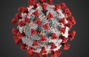 COVID-19 : continuité des services municipaux prioritaires