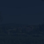 Menu background