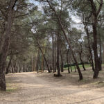 Risques d&rsquo;incendie