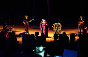 Rions dans les bois !