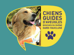 Journée d’information et de sensibilisation publique sur le chien guide d’aveugles