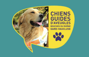 L’association des chiens guides d’aveugles recherche des bénévoles