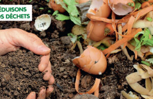 Novembre, mois du compost !