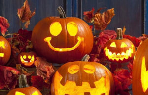 Programme et inscriptions « Accueil de loisirs vacances d’automne »