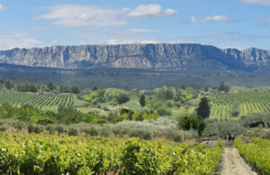 Arrêté préfectoral d’autorisation de défrichement : une coupure agricole pour limiter le risque incendie