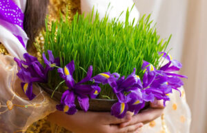 Avez-vous planté votre blé pour la Sainte-Barbe ?