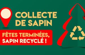 Recyclez vos sapins pour un Noël plus vert