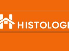 Histologe : la plateforme de signalement contre le mal-logement est lancée dans les Bouches-du-Rhône