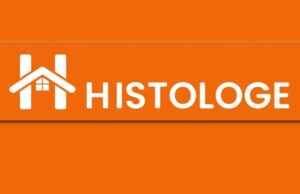 Histologe : la plateforme de signalement contre le mal-logement est lancée dans les Bouches-du-Rhône