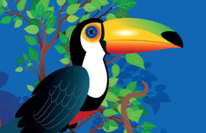 Programme vacances été 2022