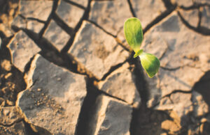 Sécheresse 2022 dans le département : passage en alerte sur le bassin de l’Arc amont