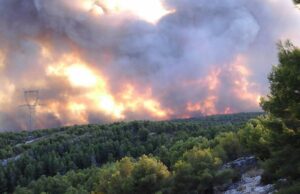 Se préserver des feux de forêt toute l’année