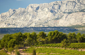 19ème Rallye Découverte des Vins de la Sainte-Victoire