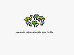 Journée internationale des forêts