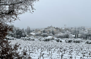 Peynier blanchi par la neige