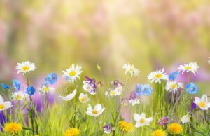 Programme vacances de Printemps