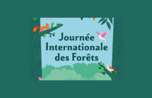 Journée internationale des forêts