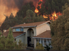 Débroussailler, c’est aussi protéger votre maison et votre famille !