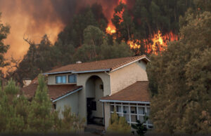 Débroussailler, c’est aussi protéger votre maison et votre famille !