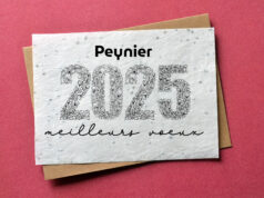 Meilleurs vœux pour l’année 2025 !
