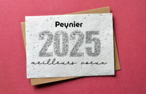 Meilleurs vœux pour l’année 2025 !
