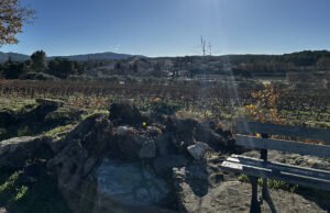 Le chêne centenaire du vieux cimetière de Peynier emporté par le vent