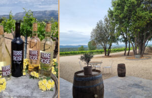 Le Domaine Terre de Rosé : une expérience unique au cœur des vignes de Peynier