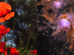 De la Terre aux Galaxies