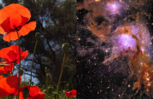 De la Terre aux Galaxies