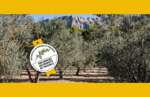 Participez à la deuxième édition du Prix agricole des produits de Provence !