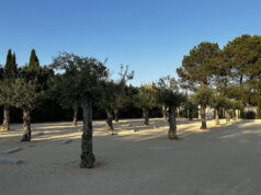 Ouverture du parking du Mas : 22 places de stationnement gratuites à 50 mètres des services et commerces du village