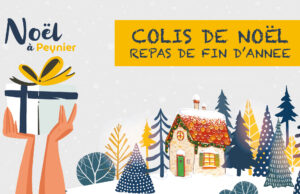 Colis de Noël ou repas de fin d’année 2025 pour nos Aînés