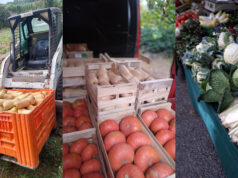 O’Délices Primeurs de retour à Peynier : fruits et légumes frais deux fois par semaine