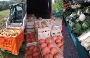 O’Délices Primeurs de retour à Peynier : fruits et légumes frais deux fois par semaine