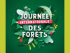 Journée internationale des forêts 2026 : balade découverte à la Garenne