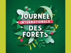 Journée internationale des forêts 2026 : balade découverte à la Garenne