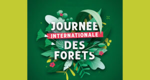 Journée internationale des forêts 2026 : balade découverte à la Garenne