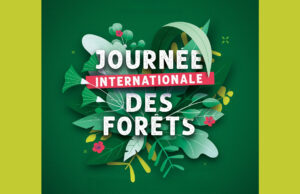 Journée internationale des forêts 2026 : balade découverte à la Garenne